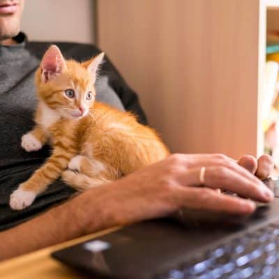 Hybrid Working