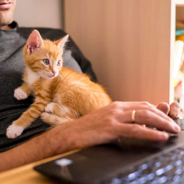 Hybrid Working
