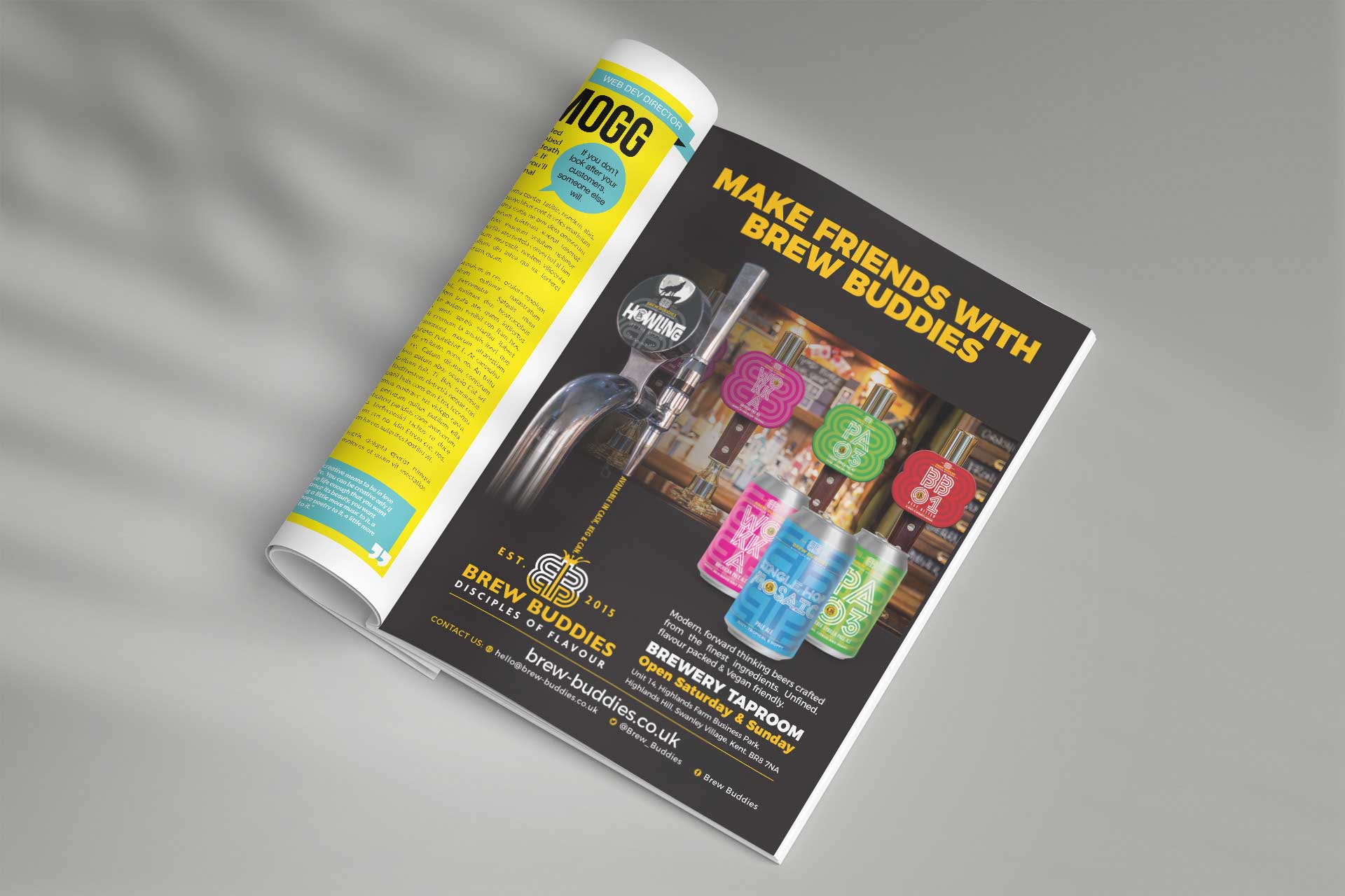 Magazine Advert Design