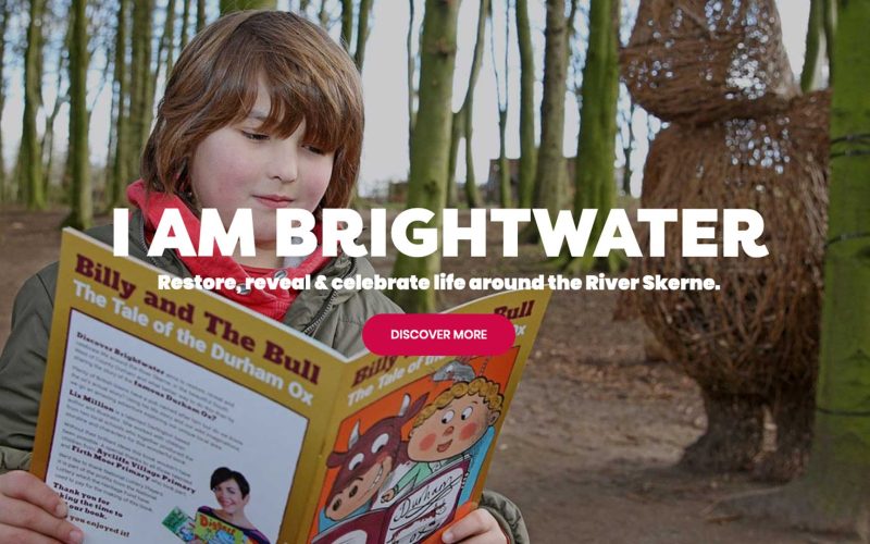 BrightwaterHome