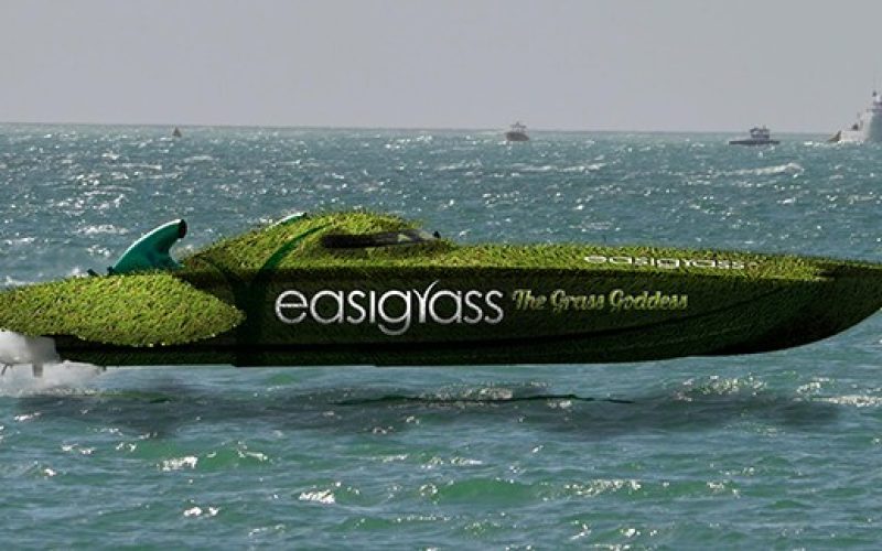 The Grass Goddess Speedboat